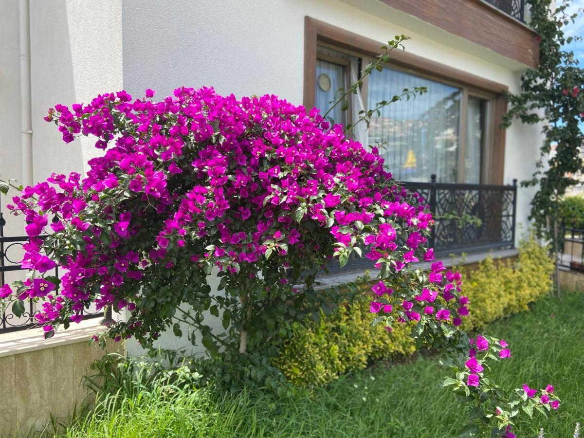 Yelken Pansiyon Sinop Exterior photo